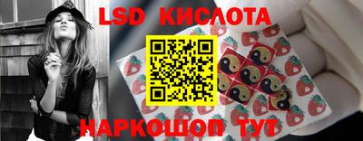 a pvp Рыбинск