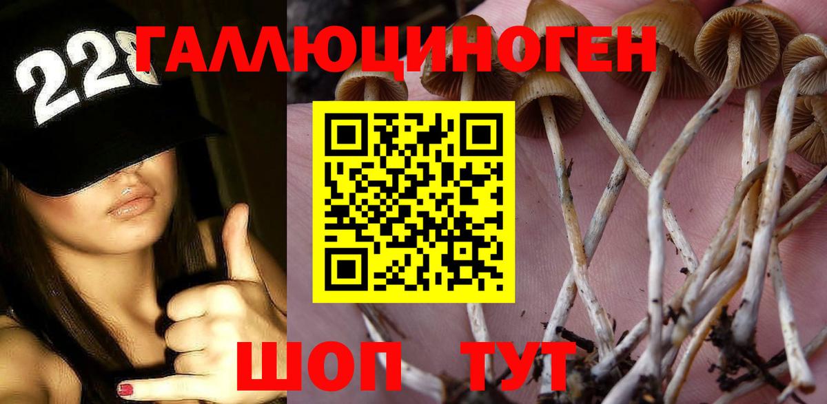 Петрозаводск  Галлюциногенные грибы ЛСД  Вход с VPN 
