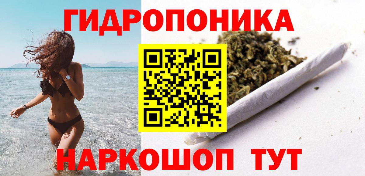 Каннабис гибрид Петрозаводск